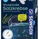 Experimentierkasten* Fun Science Wuselnde Salzkrebse