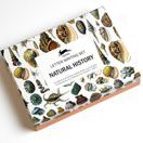Briefpapier-Set Natural History aus dem Qualitätshaus Pepin Press
