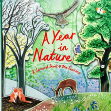 Buch* A Year in Nature. Wunderschönes Pop-Up Buch zum Aufstellen.