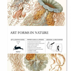 Geschenkpapierbuch* Art Forms in Nature. 12 Geschenk- und Kreativpapiere.