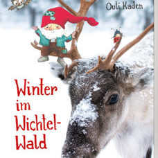 Buch* Winter im Wichtelwald. eine absolut bezaubernde Wintergeschichte auf dicken Pappseiten.