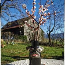 Blumenvase „Otto“* Keramikvase von der Künstlerin Katie Kimmel