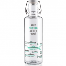 Soulbottle* You’re right. Stabile und nachhaltige Trinkflasche aus Glas.
