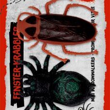 Fenster-Krabbler* 2 gruusige Insekten im Set!