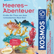 Mitbringexperimente* Meeres-Abenteuer. Grabe die Tiere aus dem versteinerten Meer frei!