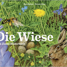 Buch* Die Wiese. Ein Zoom-Bilderbuch. Praktisches Midi-Format.