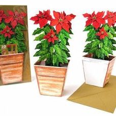 3-D Card Art. Karte Weihnachtsstern.