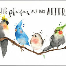 Doppelkarte* Wir pfeifen auf das Alter. Happy Birthday!