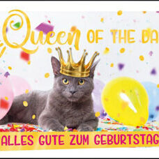 Doppelkarte* Queen oft he Day. Happy Birthday!