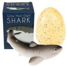 Grow your own shark* Riesenei mit schlüpfendem Haifisch