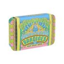Sticky Notes* Sardines Fishy Sticky Notes. Dose mit 540 Haftpapierli.