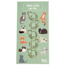 Büroklammern* Nine Lives Paper Clips Set mit 5 Büsi Klammern.