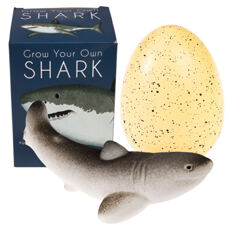Grow your own shark* Riesenei mit schlüpfendem Haifisch